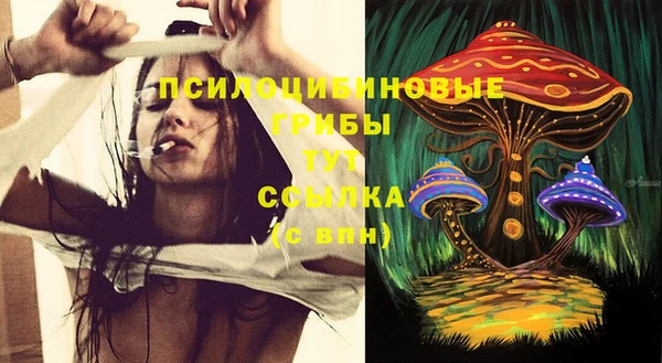 каннабис Богданович