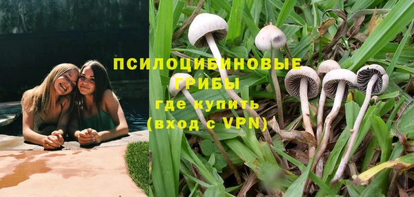 трава Бородино