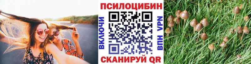 цена   Няндома  нарко площадка клад  Галлюциногенные грибы мицелий 
